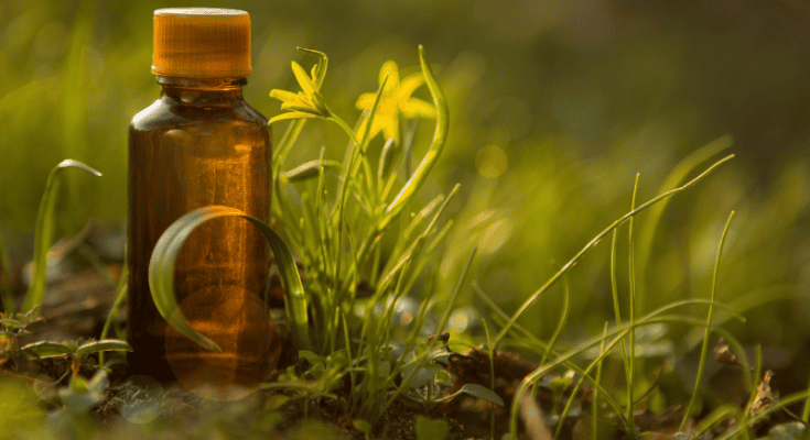 פרחי באך לכל אחד - האם פרחי באך מתאימים לכל אחד להתמודד עם חרדה ודיכאון?